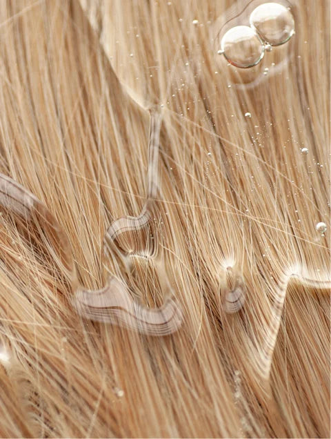 Gloss Shampoo, Smoky Green Vetiver, 400 ml